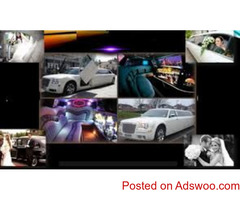 Bachelor Party Bus New York