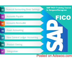 SAP FICO Course in Delhi, Mukherjee Nagar, Free SAP Server Access, 100% Free Job