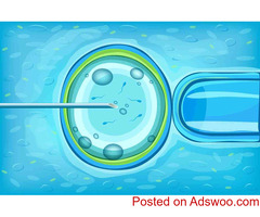 Best IUI in Abu Dhabi