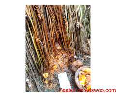 The real powerful spiritual native doctor in Nigeria+2348051831932