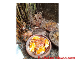 The real powerful spiritual native doctor in Nigeria+2348051831932