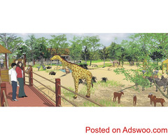 Zoo Designing Consultant and Landscape Architecture Services