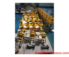Control Valve Supplier in Brazil