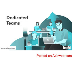 Rattle Tech: Dedicated Team Of Skilled Professionals