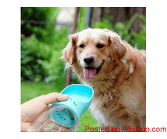 Water pot for pets