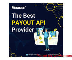 Upi Payout Api