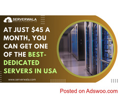 At just $45 a month, you can get one of the best-dedicated servers in USA