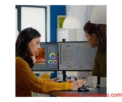 Website Design Company in Delhi