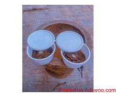 The best powerful spiritual herbalist native doctor in Nigeria +2348109646829