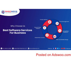 Best Software Development & SEO Services Provider In India - Amigoways