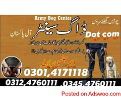 Army Dog Centre Sergodha 03014171118