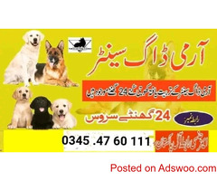 Army Dog Centre Sergodha 03014171118