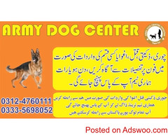 Army Dog Centre Sergodha 03014171118