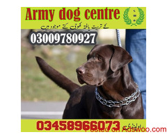 Army dog center Gujarkhan #03335986666 contact helpline