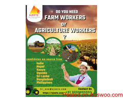 Looking for Ag recruitment services from India, Nepal