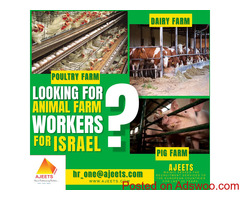 Looking for Ag recruitment services from India, Nepal