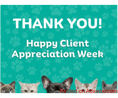 Client Appreciation Week - Veterinary Clinic in Troy, OH