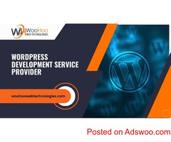 Professional Wordpress Development Service Provider