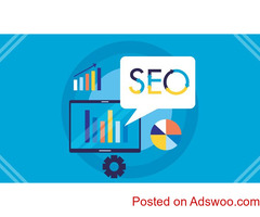 Digital Marketing Agency in Pitampura