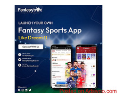Fantasy Sports Application Development Company