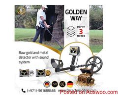 gold detector GOLDEN WAY