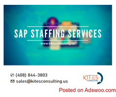 SAP Staffing Companies in USA - Kites Consulting