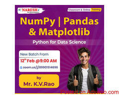 Free Demo On NumPy Pandas & Matplotlib - Naresh IT