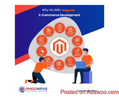 Top Magento Development Company in Tamilnadu