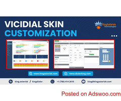 Transform Your Call Center Aesthetics with ViciDial Skin Customization!