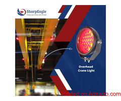 Overhead crane light