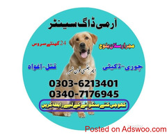 #kasur#khojikutta#03036213401