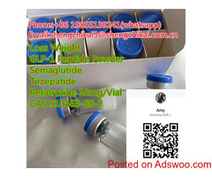 Weight Loss Semaglutide Peptide CAS 910463-68-2