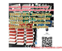 Weight Loss Semaglutide Peptide CAS 910463-68-2