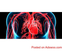 Understanding Heart disease and stroke among Americans