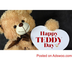 Teddy Day | Importance of 10th February