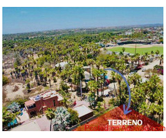 Homes for Sale in Todo Santos