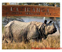 Kaziranga National Park | USABLOGZONE