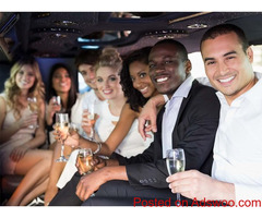Mini Party Bus Rental Brooklyn 