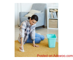 All Carpet Cleaning Bal Harbor