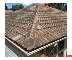 The Roof Dentist