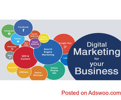 SEO Freelancer In Chennai