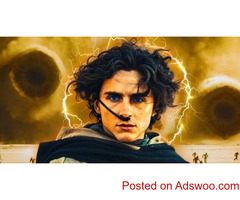 DUNE 2 Dominates Global Box Office, Outshining WONKA as Chalamet’s Top Hit!