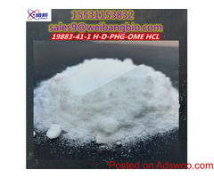 19883-41-1 H-D-PHG-OME HCL supplier  +86 15531153832