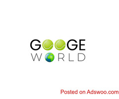Googe.World Financial