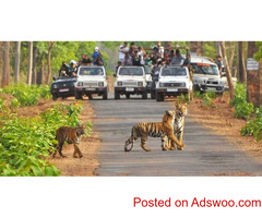 Bird Watching In Uttarakhand | Bird Watching In Corbett National Park