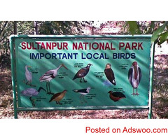 Day Trip Near Delhi With Family | Earth Walks By Asian Adventures