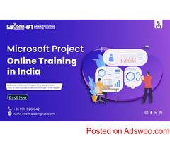 Master Project Management with MS Project Online Course!
