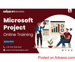 Master Project Management with MS Project Online Course!