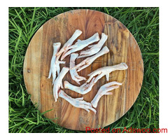 Chicken Feet for Dogs | RogueRaw