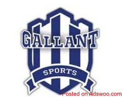 Best Sport Infrastructure Companies in India- Gallant Sports
